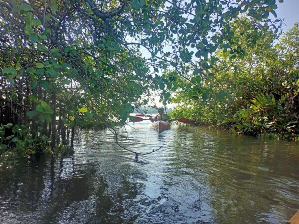 Fort Kochi Sightseeing on Tuk Tuk and Backwater Kayaking - Directions