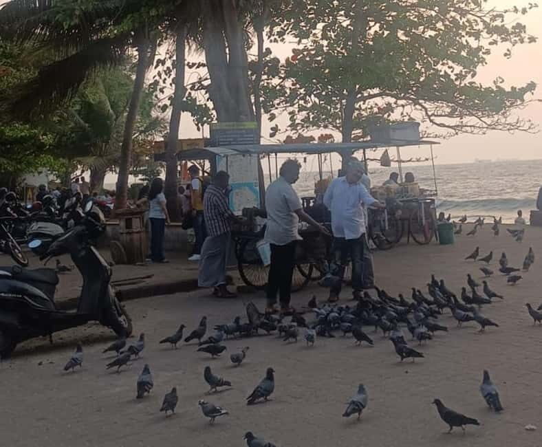 Fort Kochi: Tuk Tuk Kochi Tours  Budget Friendly - Who Should Consider This Tour?