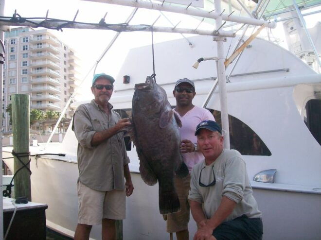 Fort Lauderdale: 4-Hour Sport Fishing Shared Charter - Additional Recommendations