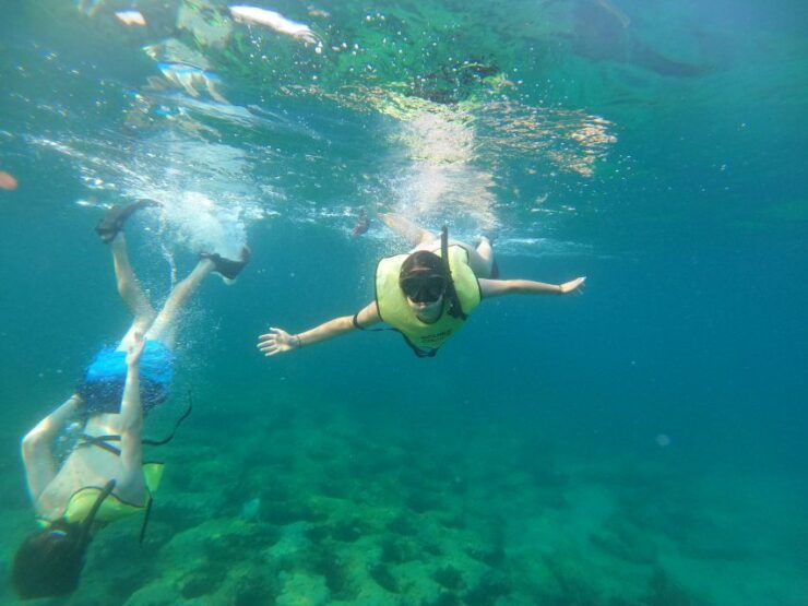 Fort Lauderdale: Guided Snorkeling Reef Tour and Lesson - Experience