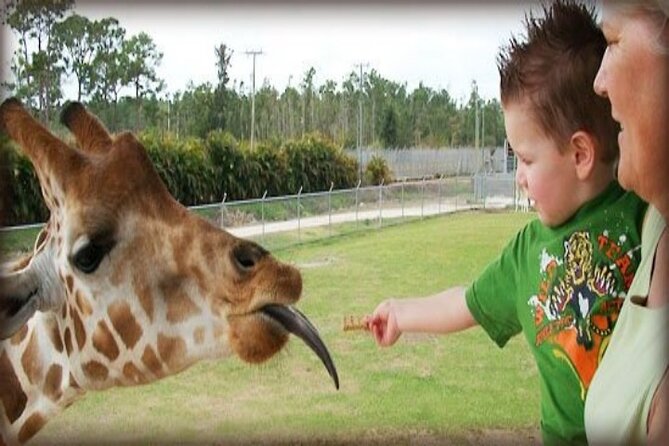 Fort Lauderdale, Lion Country Safari and Palm Beach Day Tour - Tour Highlights