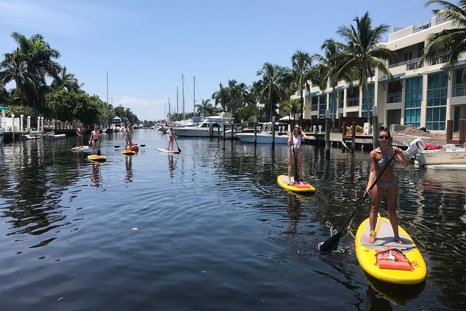 Fort Lauderdale Paddleboard Rental - Local Wildlife Encounter