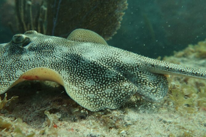 Fort Lauderdale Private Atlantic Snorkel Tour - Additional Information and Cancellation Policy
