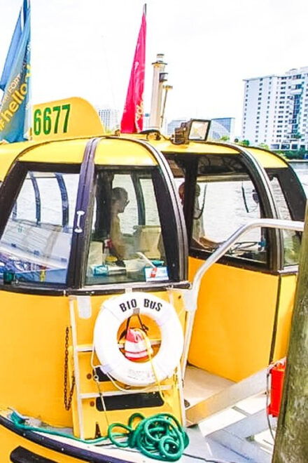 Fort Lauderdale: Water Taxi All-Day Pass - Schedule and Duration