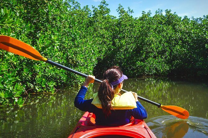 Fort Lauderdales Tropical Kayak Tour and Island Adventure - Good To Know