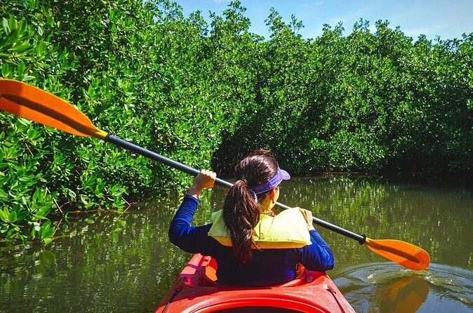 Fort Lauderdales Tropical Kayak Tour and Island Adventure - Final Thoughts: Is It Worth It?