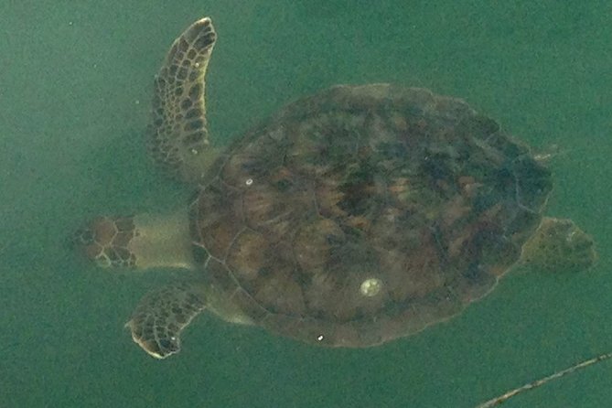 Fort Myers Beach and Sanibel Day Sail - Common Questions