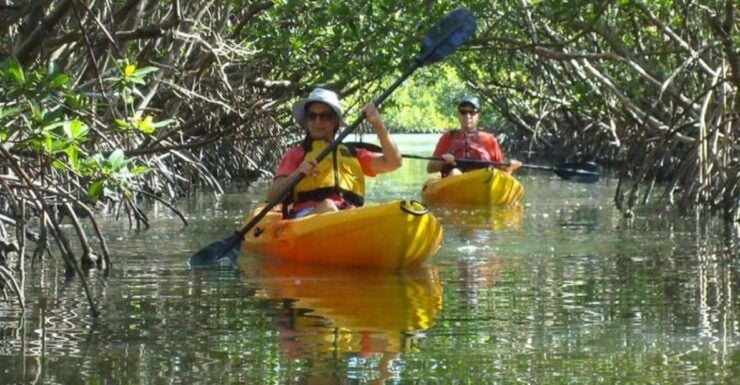 Fort Myers: Guided Kayak or SUP Tour in Pelican Bay - Booking Details