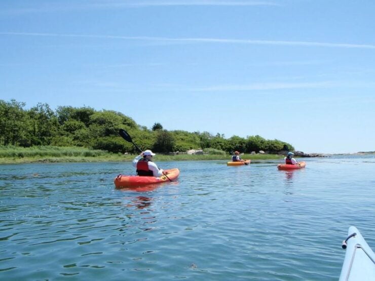 Fort Myers: Guided Kayak or SUP Tour in Pelican Bay - Experience Information
