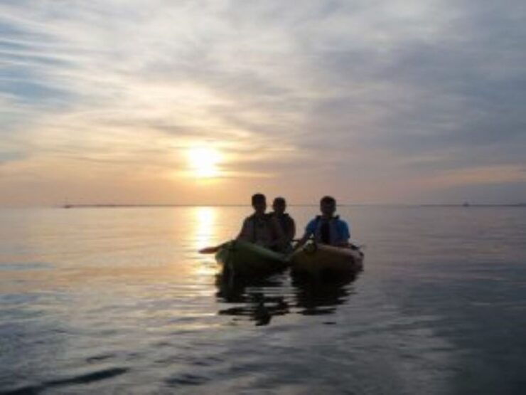 Fort Myers: Guided Sunset Kayaking Tour Through Pelican Bay - Experience Highlights