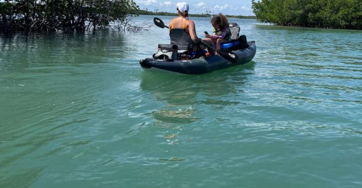 Fort Pierce: 6-hr Mangroves, Coastal Rivers & Wildlife in FL - Tour Details