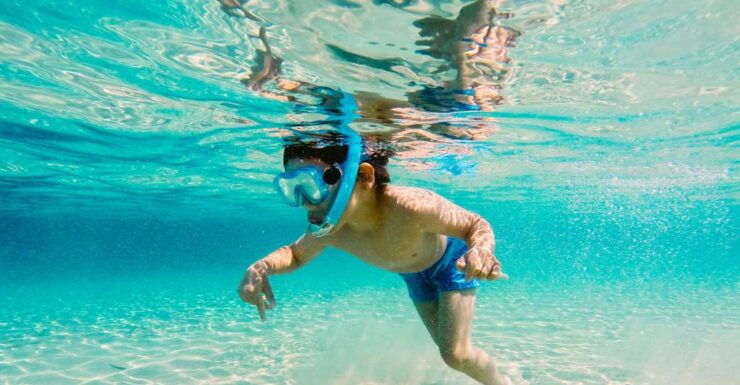 Fort Walton Beach: Morning Dolphin Cruise With Snorkel Stop - Activity Details