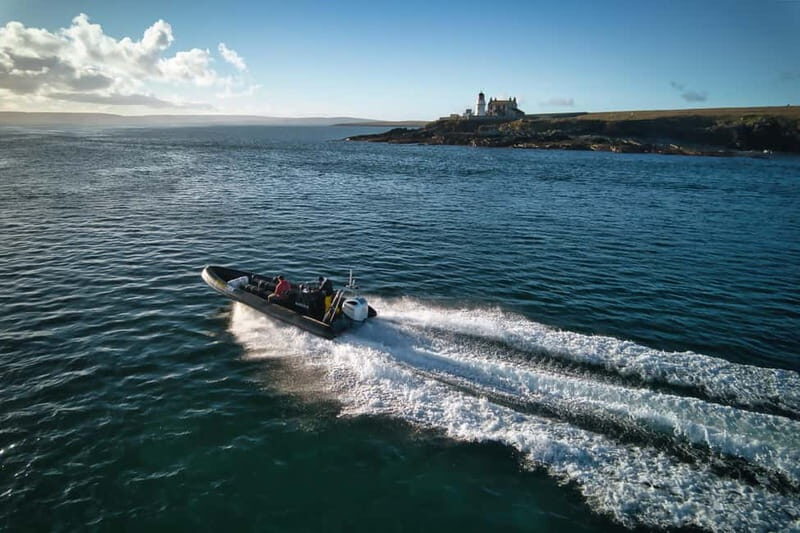 Fort William: Loch Safari RIB Boat Tour - What to Expect During Your Trip