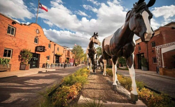 Fort Worth: Stockyards History Tour Pub Crawl - Experience Highlights