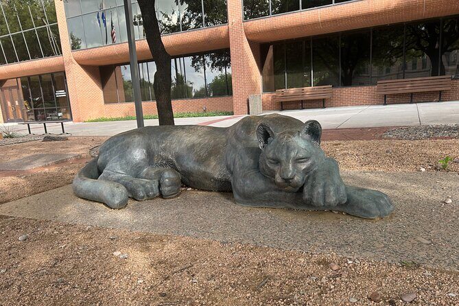 Fort Worth Taste of Sundance Square with Food Tours of America - Final Thoughts: Who Will Love This Tour?