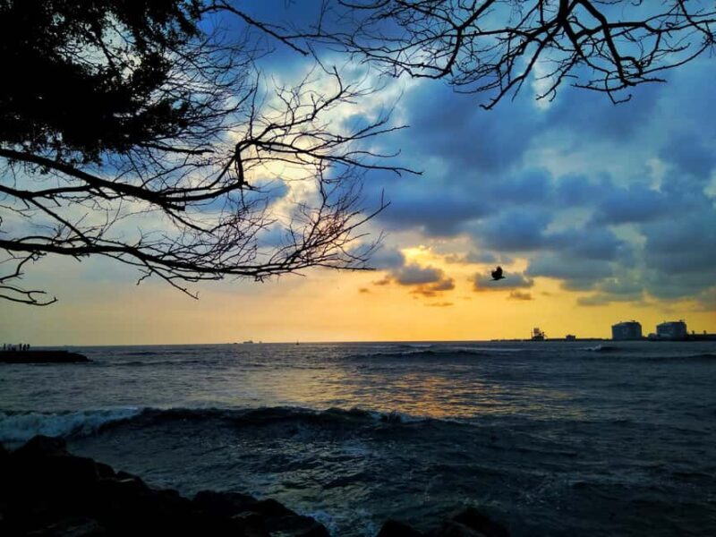 Fortkochi Heritage Walking tour with a local guide - Final Thoughts