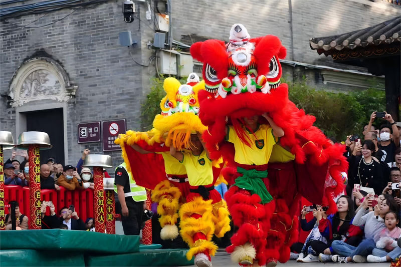 Foshan Ancestral Temple & Qinghui Garden Private Day Tour - At a glance