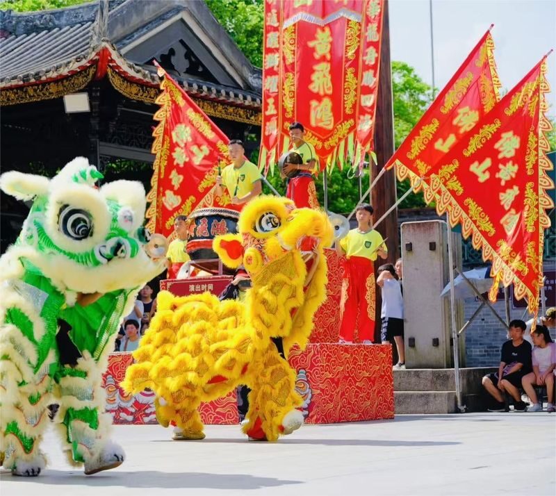 Foshan Ancestral Temple & Qinghui Garden Private Day Tour - A private driver changes the pace of the day
