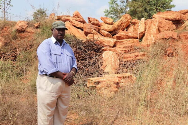 Fossil Walk Unearthing Ancient Secrets near Pondicherry - Introduction to the Fossil Walk Experience