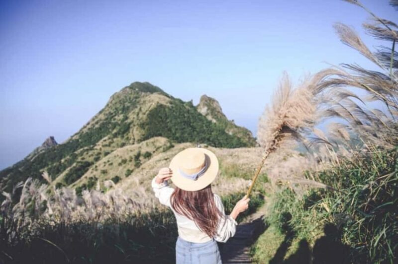 Four-Day In-Depth Tour of Northern Taiwan - Good To Know