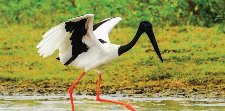 Four-Day Luxury Camping and Photography Expedition - Booking Details and Flexibility