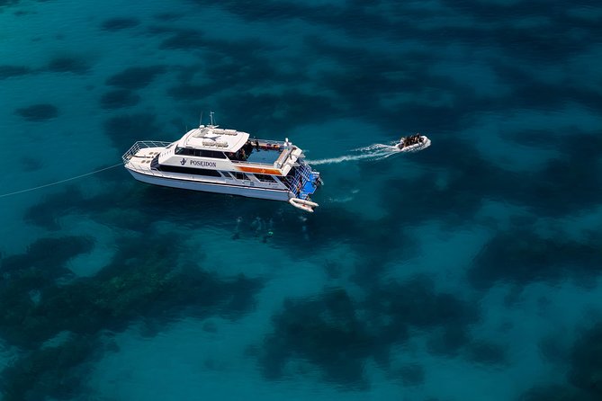 Four-Day PADI Gold Open Water Dive Certification, Port Douglas - Course Overview