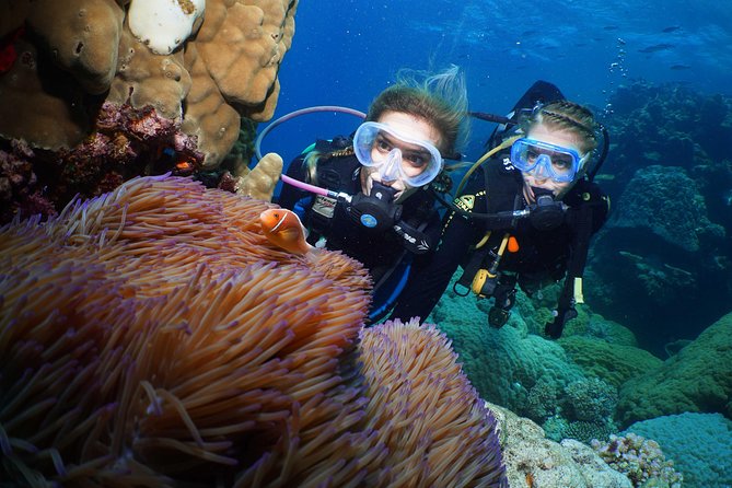 Four-Day PADI Gold Open Water Dive Certification, Port Douglas - Final Day of the Certification