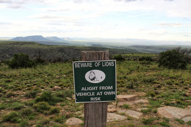 Four-Day South Africa Safari: Addo Park to Karoo  - Port Elizabeth - Day 3: Nieu Bethesda