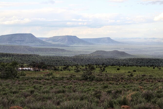 Four-Day South Africa Safari: Addo Park to Karoo  - Port Elizabeth - The Sum Up