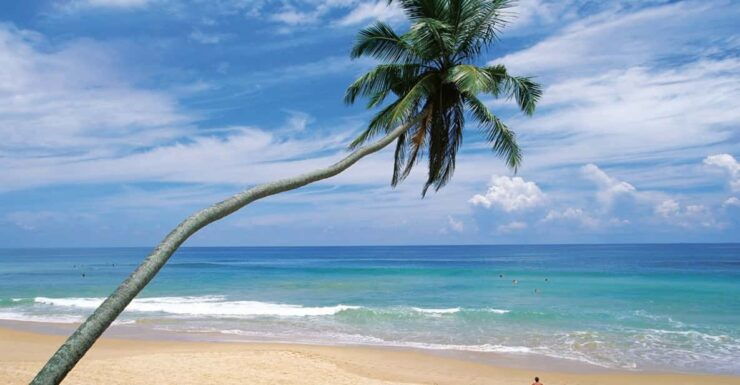 Four Day Tour in Southern Province Sri Lanka - Good To Know