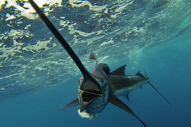 Four-Hour Fishing Tour in Dominica - How the Tour Is Structured