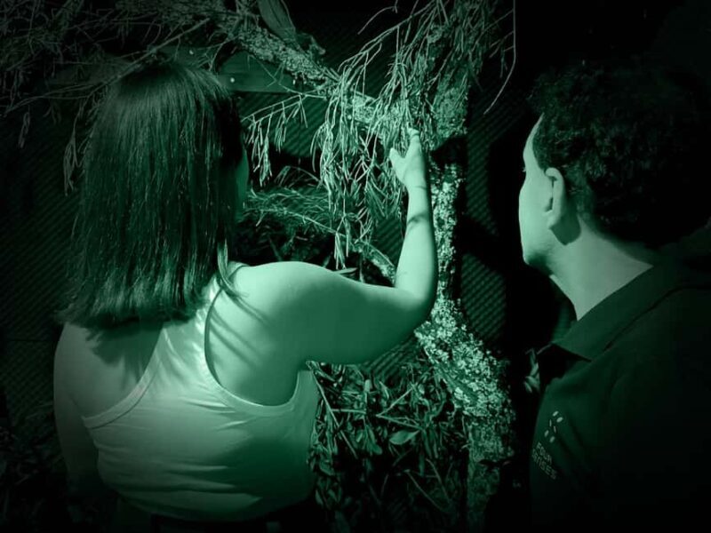 FOUR SENSES: The Immersive Experience in the Dark - Faro - What to Expect from Four Senses Faro