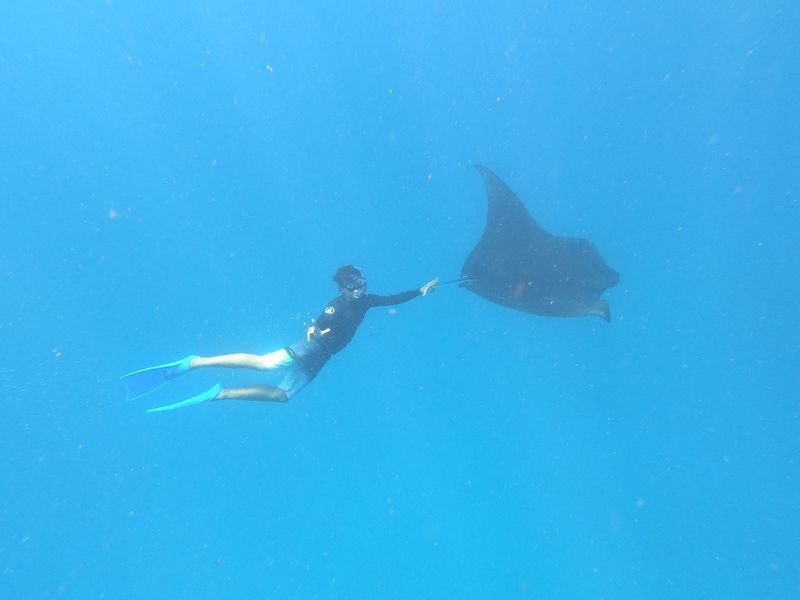 Four Spots Snorkelling Experience in Nusa Lembongan - Four stops, four chances to meet the reef