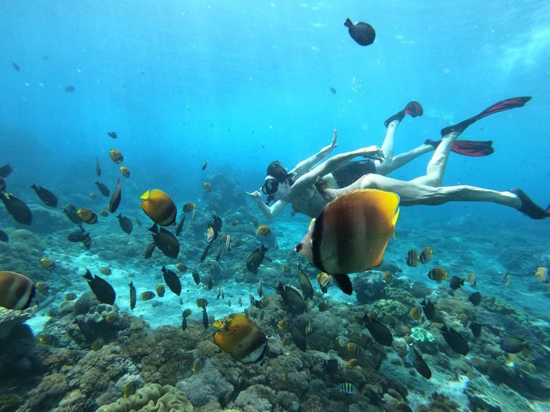 Four Spots Snorkelling Experience in Nusa Lembongan - Guides, safety, and the realities of shared water