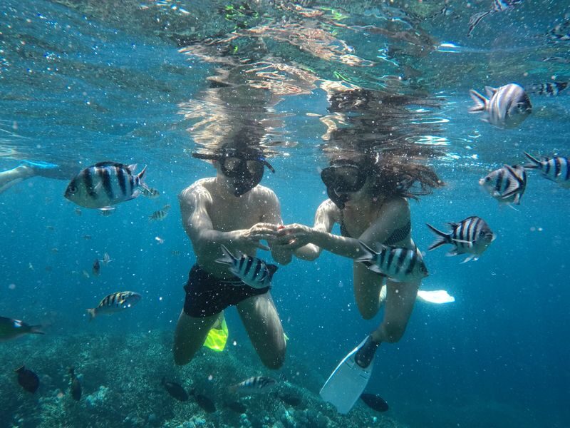 Four Spots Snorkelling Experience in Nusa Lembongan - Which package fits your Bali plans