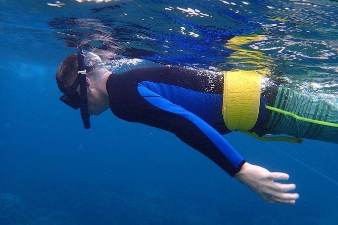 Four Winds II Molokini Snorkeling Tour From Maalaea Harbor - Tour Itinerary