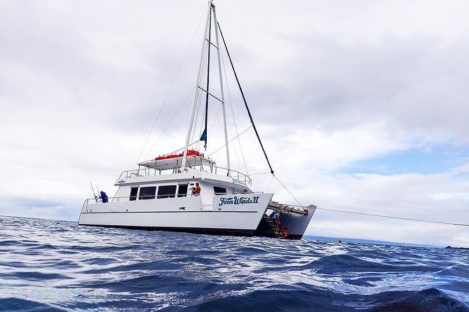 Four Winds II Molokini Snorkeling Tour From Maalaea Harbor - Snorkeling Experience