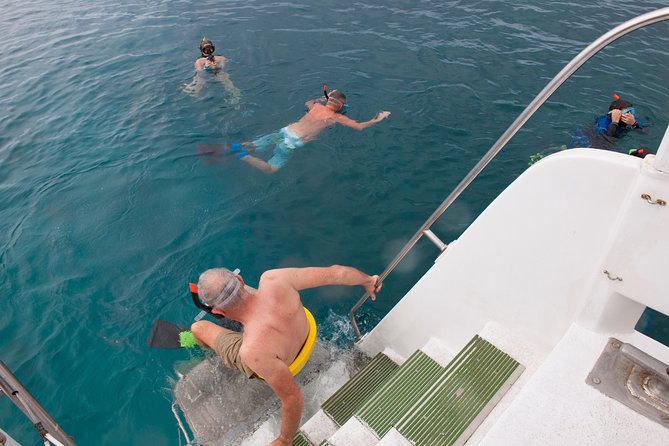 Four Winds II Molokini Snorkeling Tour From Maalaea Harbor - Customer Reviews