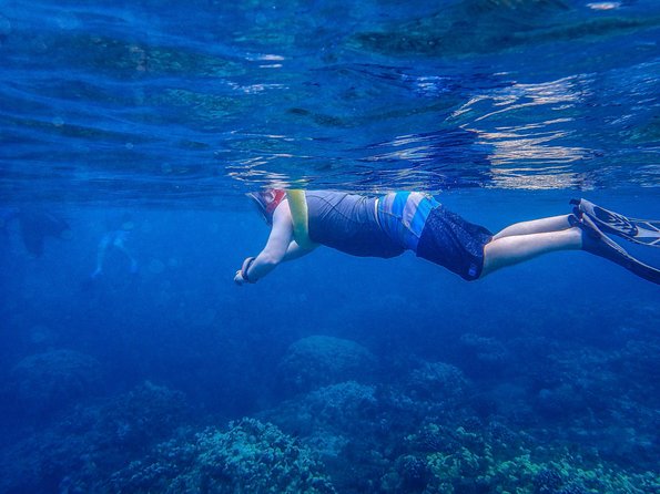 Four Winds II Molokini Snorkeling Tour From Maalaea Harbor - Tips and Recommendations