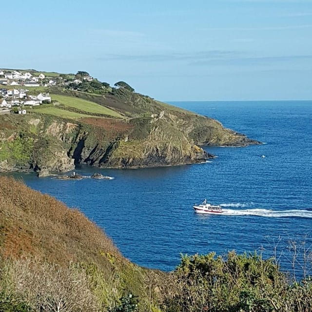 Fowey: Gribbin Head Daymark Tower Guided Walk - Practical Details and What to Bring