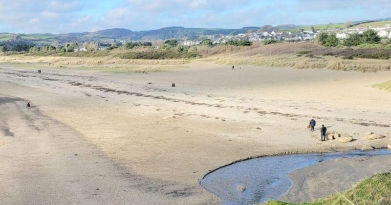 Fowey: South West Coast Path Guided Walk - Fowey: South West Coast Path Guided Walk – A Coastal Adventure in Cornwall