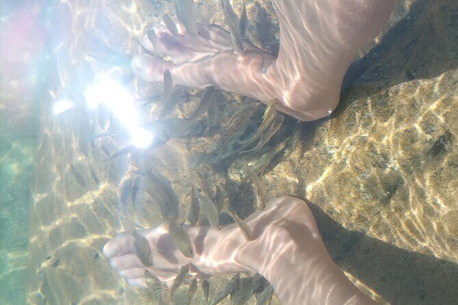 Fox Canyon Tour - Who Should Consider This Tour?