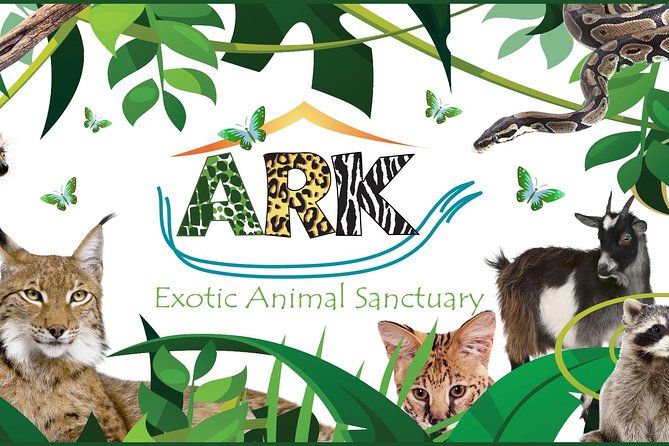Fox Encounter for 2 People and Park Entry - Fox Encounter Experience Details