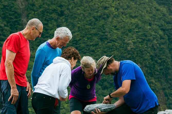 Fox Glacier Nature Tour - Pickup and Meeting Points
