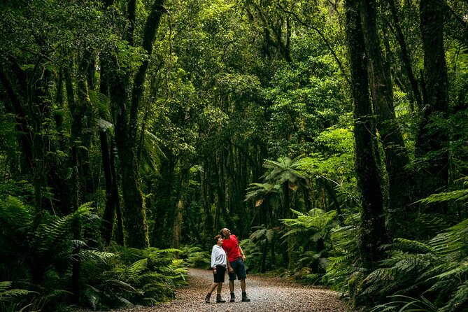Fox Glacier Nature Tour - Common Questions