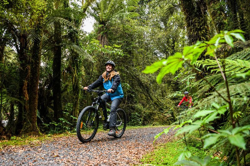Fox Glacier Valley E-Bike & Hike - From rainforest ride to glacier viewpoint