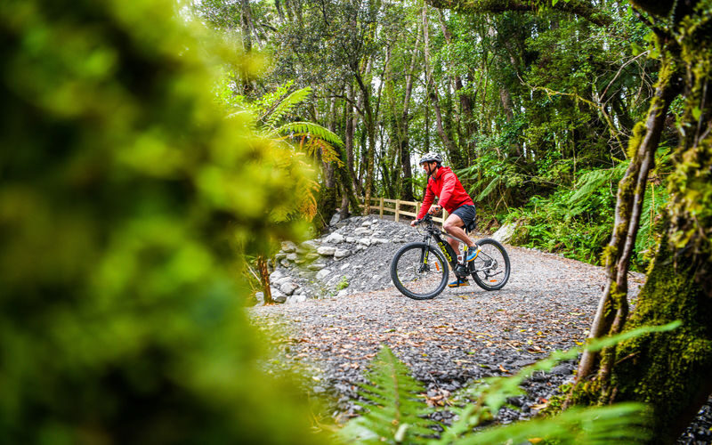 Fox Glacier Valley E-Bike & Hike - Who should book this Fox Glacier outing?