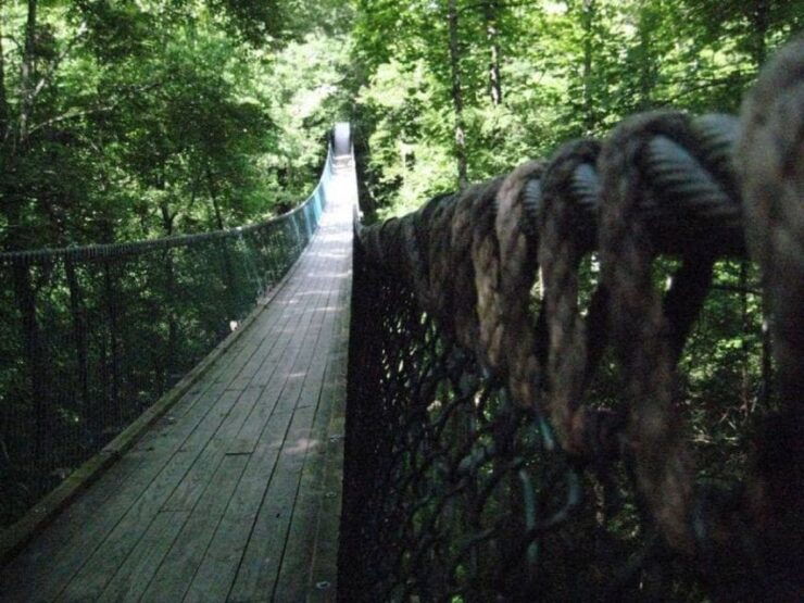 Foxfire Mountain: Hiking & Swinging Bridge Family Adventure - Ticket Information