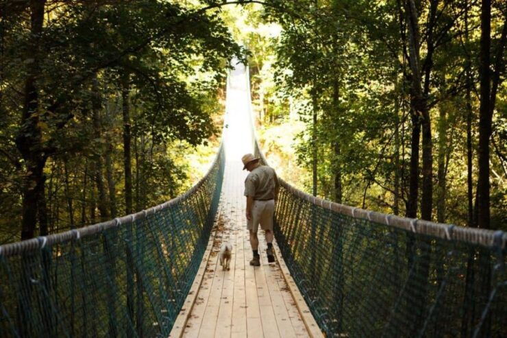 Foxfire Mountain: Hiking & Swinging Bridge Family Adventure - Experiences