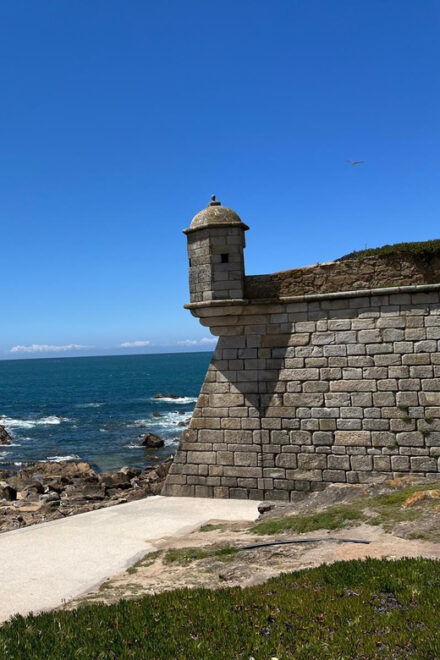 Foz and Matosinhos: Gastronomic, Architectural Heritage - Planning Your Visit to Foz and Matosinhos